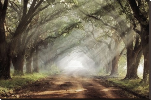 mike-jones-evergreen-plantation