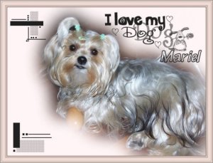 1433_102521970246_6306_n