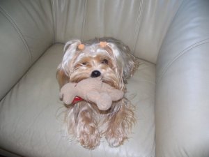 1433_102521975246_6602_n