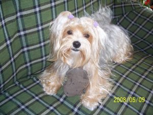 1433_102521990246_7698_n