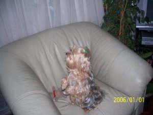 1930675_293774555246_3725016_n