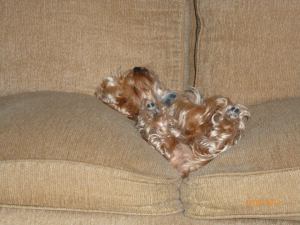 251545_10152079781585247_624510652_n