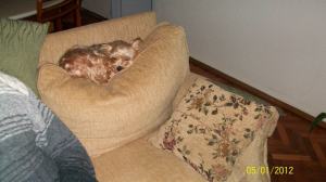 575465_10151579153505247_142268802_n